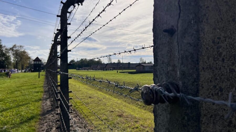 Krakow: Auschwitz-Birkenau & Wieliczka Salt Mine with Lunch - Birkenau: why the outdoor layout hits differently