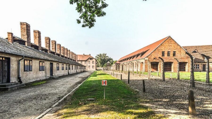 Krakow: Full-Day Auschwitz-Birkenau & Salt Mine Guided Tour - Price and what you get for $118
