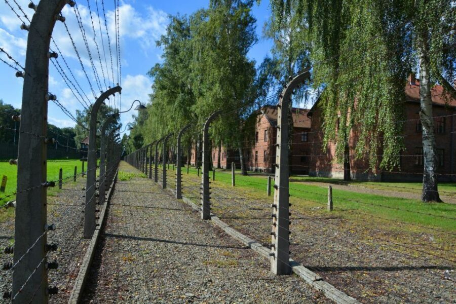 Krakow: Guided Auschwitz Birkenau Tour - From Krakow to Oświęcim: a long ride for a hard day