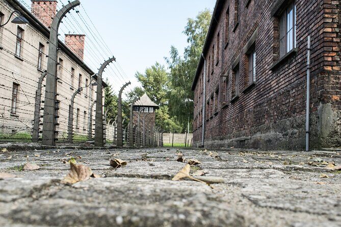 Krakow to Auschwitz Birkenau Guided Tour with Ticket and Transfer - Transport and pickup: convenience that can come with a catch