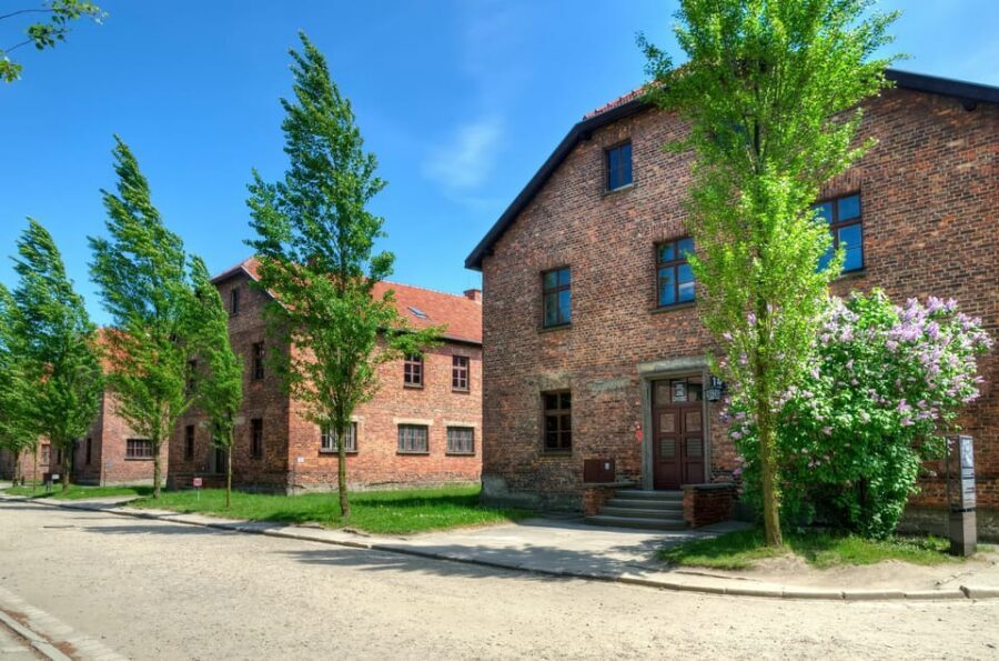 Krakow: Wieliczka Salt Mine and Auschwitz-Birkenau Tour - Key highlights you’ll care about