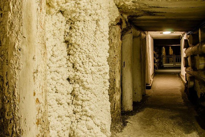 Krakow: Wieliczka Salt Mine Guided Tour with Hotel Pick-up option - Skip-the-Line Entry and a Licensed Mine Guide: Why the Tour Feels “Easy”