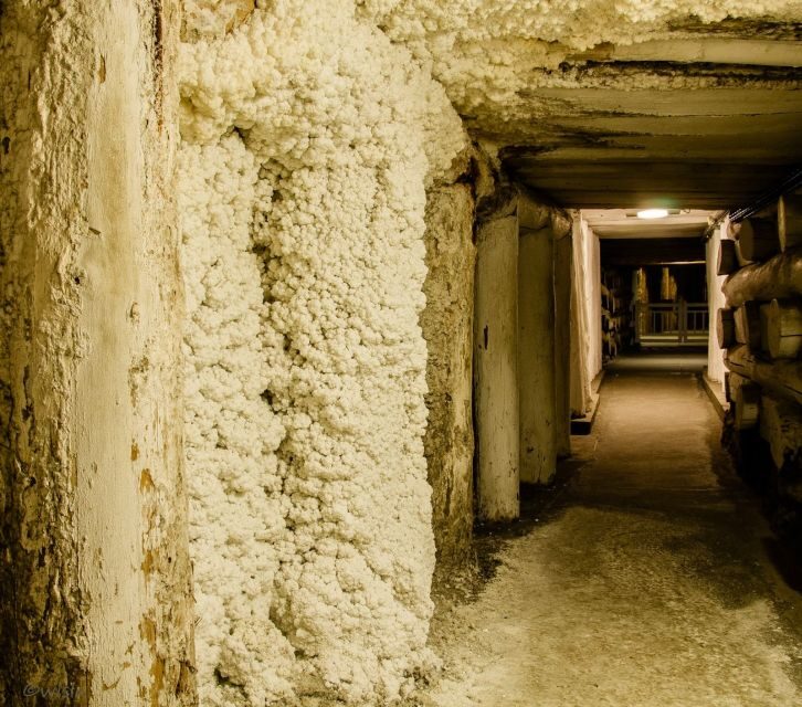 Krakow: Wieliczka Salt Mine Skip-the-Line Live Guided Tour - St. Kinga Chapel and the Underground City Feeling