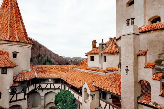 Legends&Wildlife Awaits: Dracula's Castle & Bear Sanctuary - Bran Castle: Dracula’s Castle, Vlad’s Shadow, and Eerie Rooms
