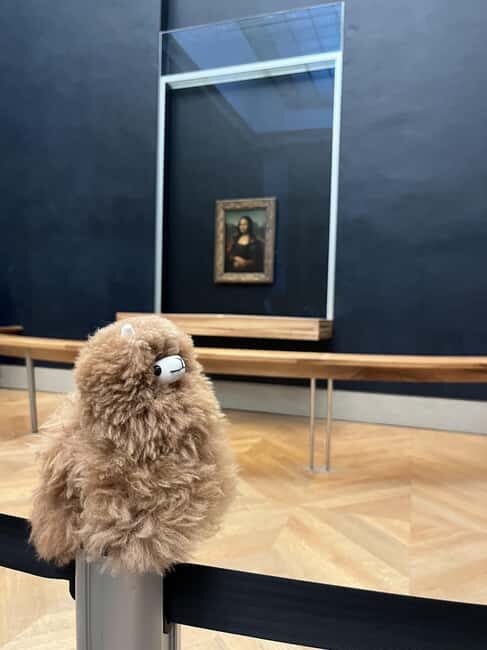 Louvre Museum Entry Ticket and Private Guided Tour - Meet Mr. Lama Leonardo and Your Private Guide