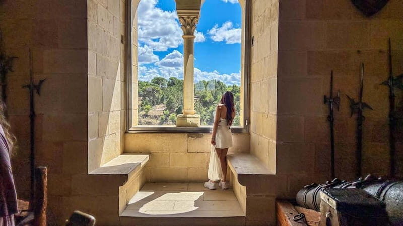 Madrid: Segovia & Ávila Full Day with Alcázar & Wall Tickets - The move to Ávila: viewpoint first, then the wall walk