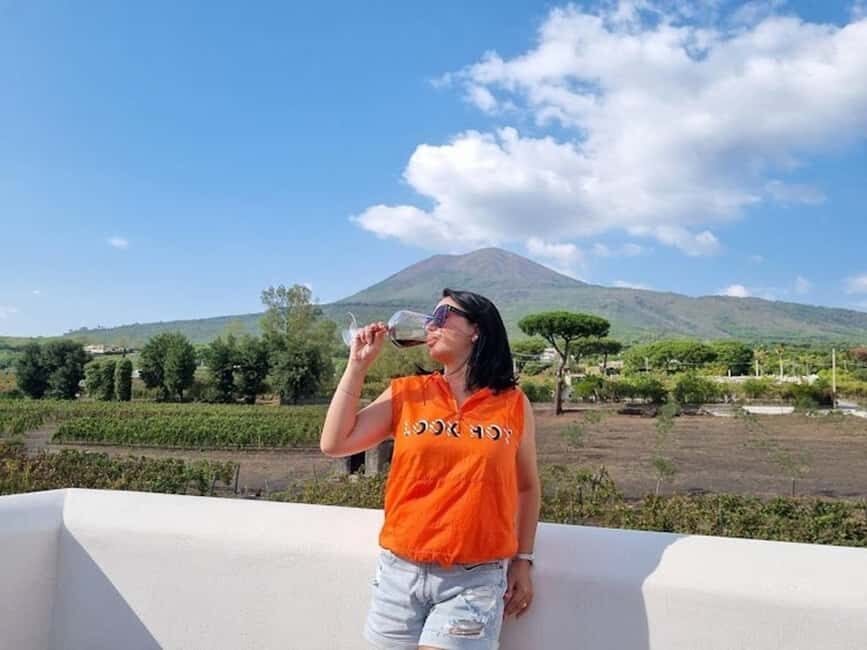 Mount Vesuvius: 5 Wine Tastings with Tour & Lunch Included - The Vineyard Walk: Views, Uneven Ground, and Terroir in Real Time