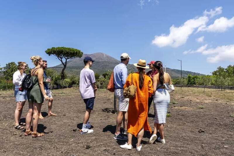 Mount Vesuvius: 5 Wine Tastings with Tour & Lunch Included - Lunch at the Winery: Local Courses Paired With Five Wines