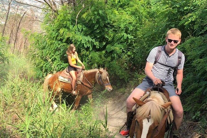 Mount Vesuvius Guided Horse Riding Tour with Sample Wine - Price and value: what $107.68 buys you in real life