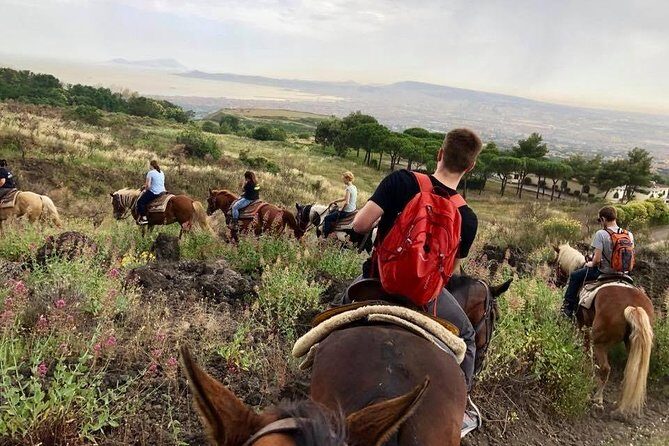 Mount Vesuvius Guided Horse Riding Tour with Sample Wine - Timing and what to bring: your comfort checklist