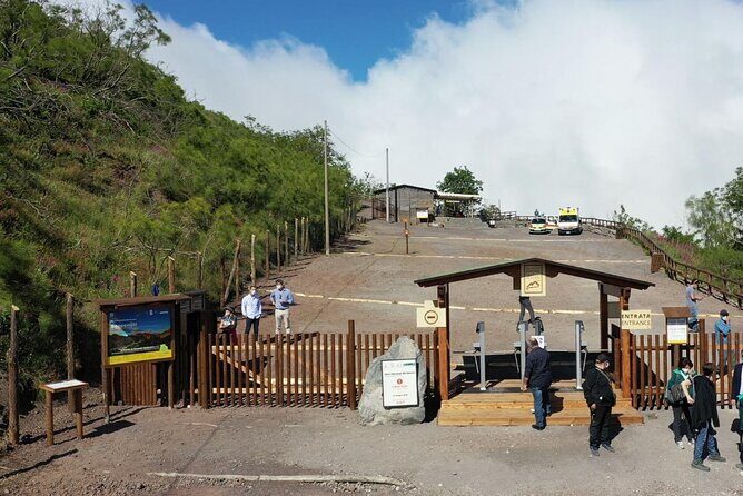 Mount Vesuvius Tour with Entry Ticket & Lunch - Door-to-Door Transport: Your Day Starts Without the Headaches