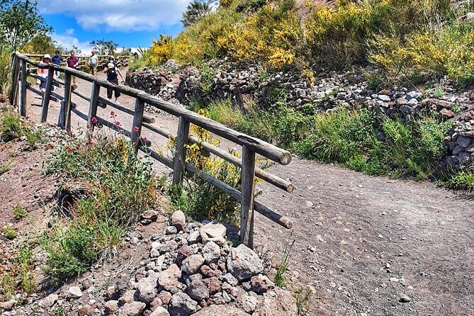 Mount Vesuvius Tour with Entry Ticket & Lunch - Lunch and Wine Tastings: What You Actually Get