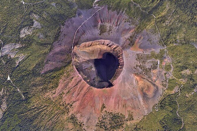 Mount Vesuvius Tour with Entry Ticket & Lunch - Vesuvius National Park Walk: Flora, Volcanic Paths, and Crater Views
