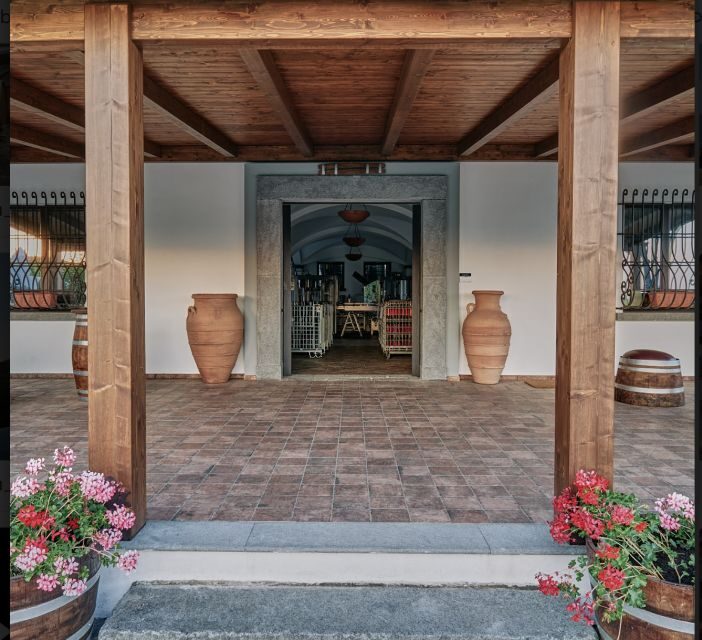 Mount Vesuvius: Vineyard Tour with Wine Tasting and Lunch - Naples Bay views, plus Sorrento and Capri: why the scenery is more than decoration