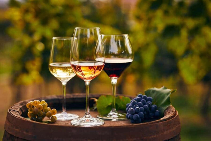 Mount Vesuvius Wine Tasting and Lunch from Pompeii - Key things you’ll notice on this Mount Vesuvius wine tasting