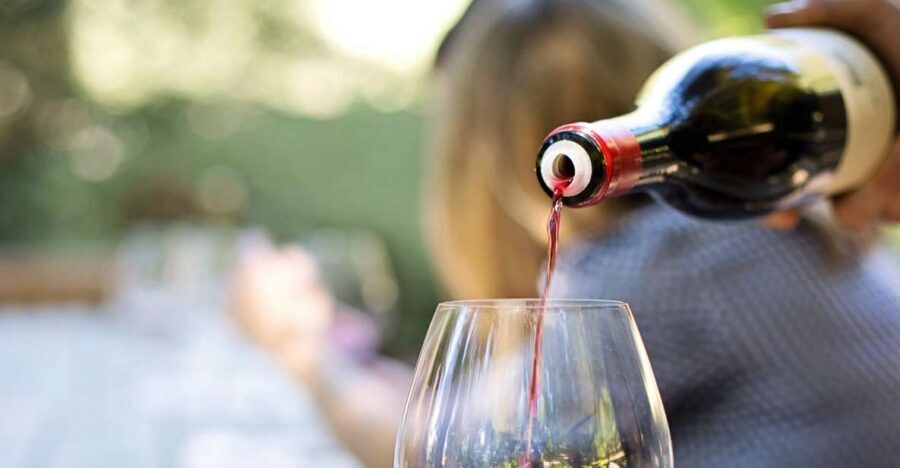 Mount Vesuvius Wine Tour with Tastings and Lunch - The vineyard walk: views first, then photos and grapes