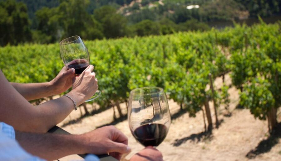 Mount Vesuvius Wine Tour with Tastings and Lunch - A few smart tips before your day starts