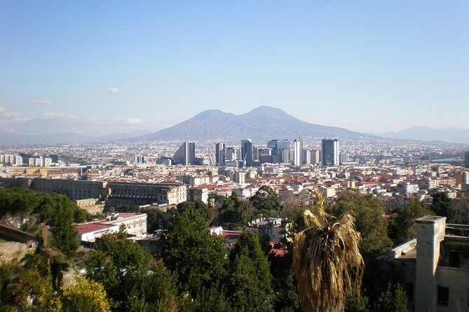 Mt Vesuvius Half-Day Trip from Naples - Naples to Vesuvius by coach: the ride you’re paying for