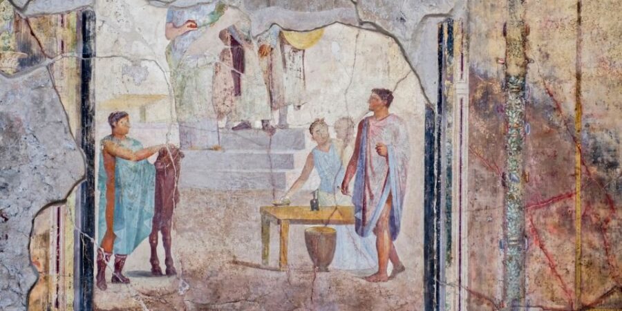 Naples: 3-Days Pass w/ Pompeii, Museums & Transport Included - Should you book the Naples Pass with Pompeii, museums, and transport?