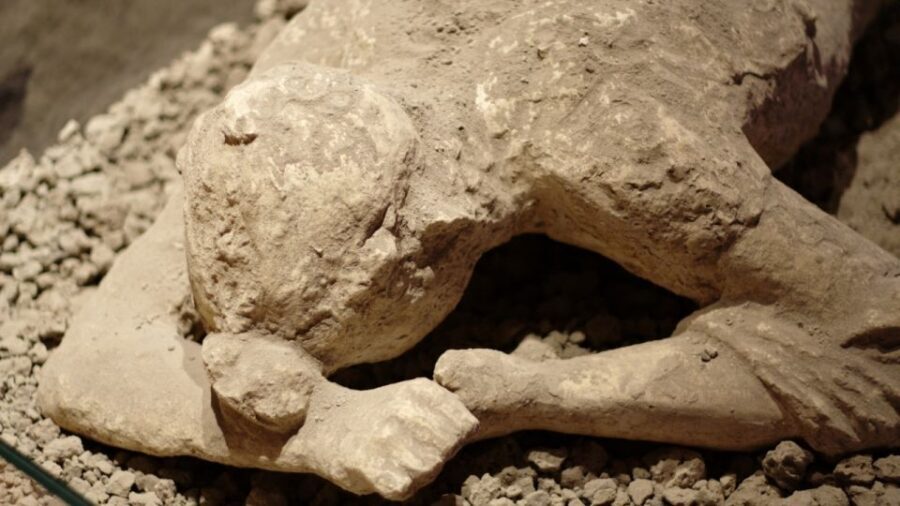 Naples: 7 Days Pass - Pompeii, Museums & Transport Included - Unlimited Naples transit for 7 days: the practical pros and the watch-outs
