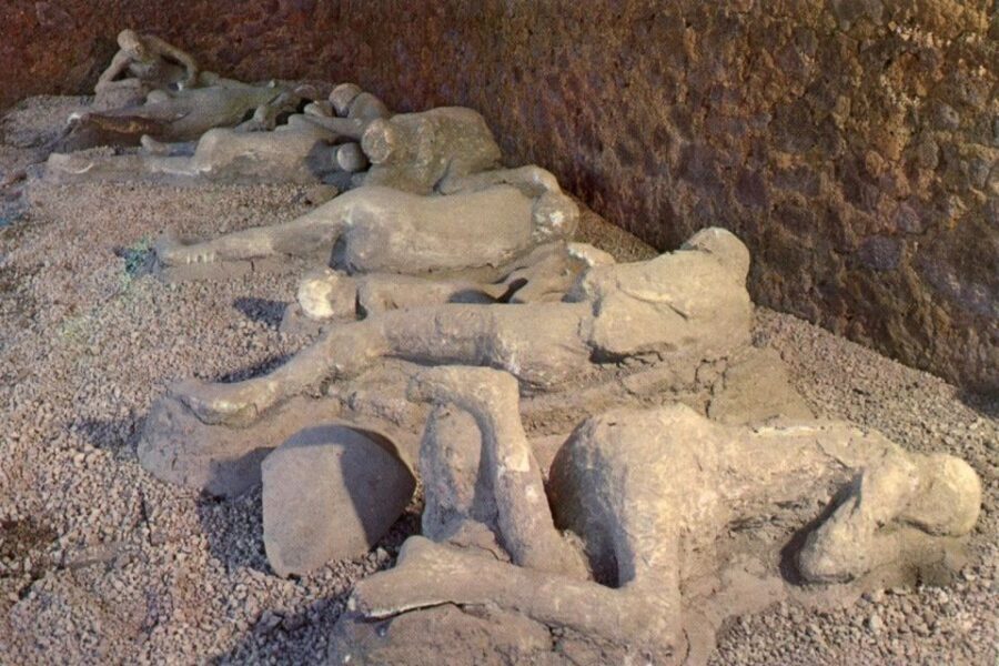Naples and Pompeii: Half-Day Tour - Pompeii Highlights: Forum, Baths, Vetti’s House, and the Lupanare