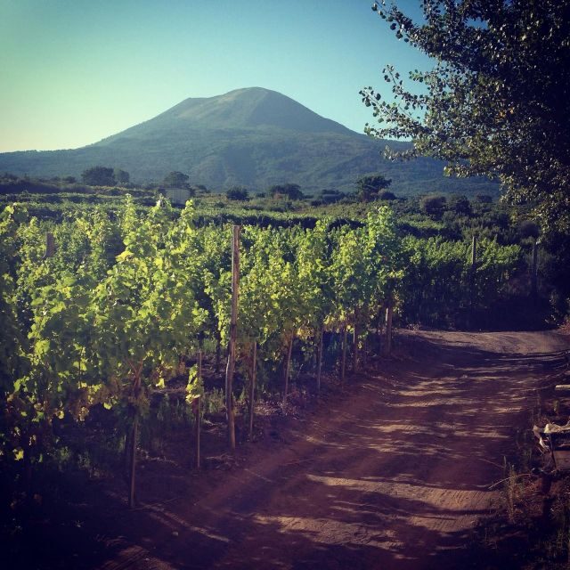 Naples: Mount Vesuvius Vineyard Tour w/ Lunch & Wine Tasting - Practical tips so your day goes smoothly