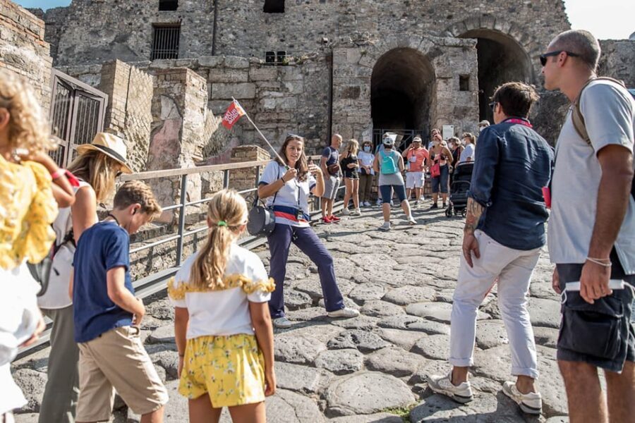 Naples or Sorrento: Full-Day Pompeii and Mount Vesuvius Tour - Price and value: is $104.22 a fair deal?