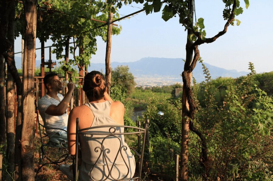 Naples: Pompeii and Herculaneum Tour with Tickets and Lunch - Pompeii guided tour: what you’ll see without getting lost