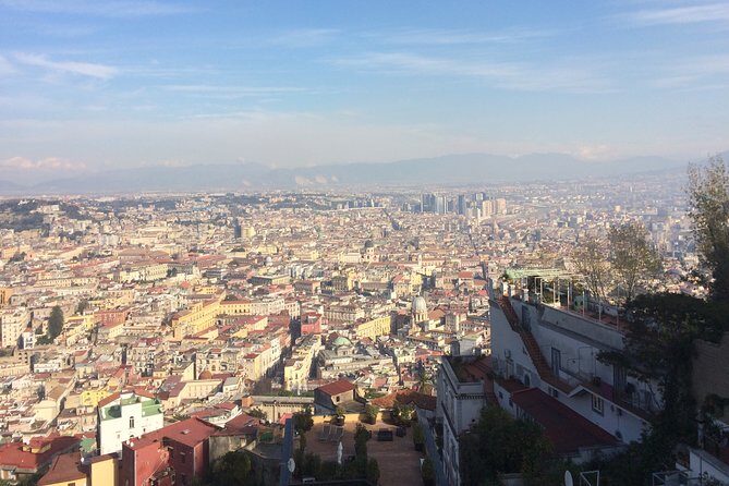 Naples, Pompeii and Vesuvius full day tour from Naples - Transportation, Group Size, and the Real Schedule