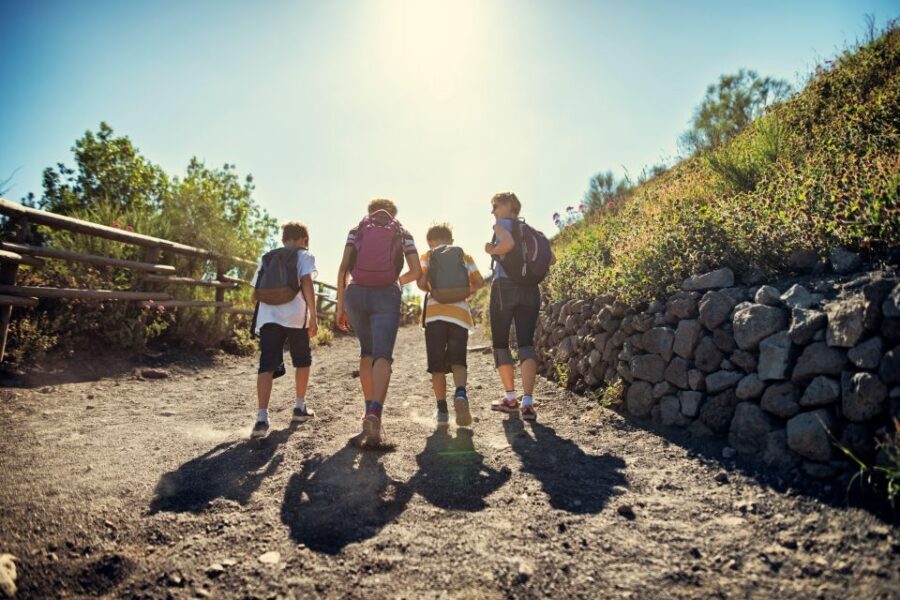 Naples: Pompeii & Mt. Vesuvius Day Trip with Tickets & Lunch - Mt. Vesuvius: Crater Views vs the Valley of Hell Lava Route