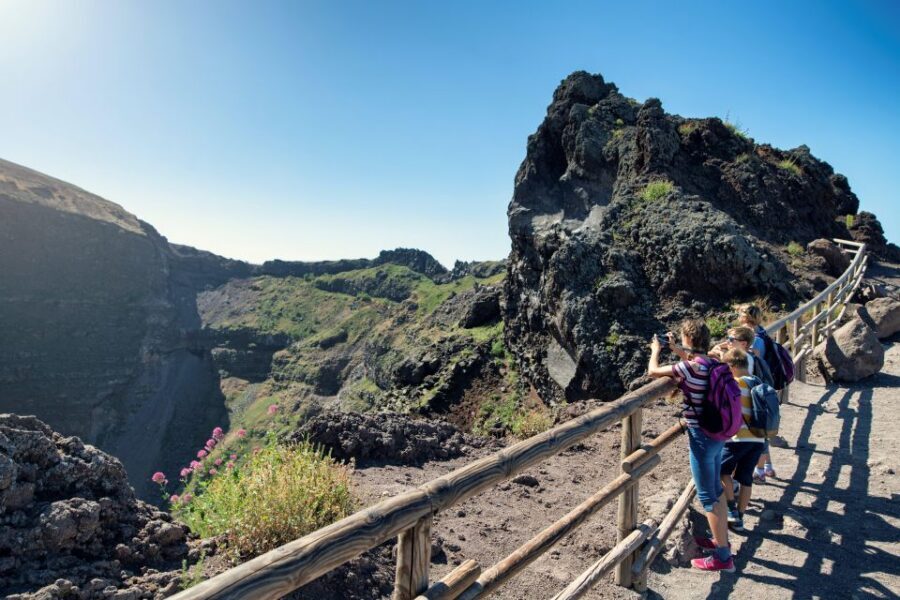 Naples: Pompeii & Mt. Vesuvius Day Trip with Tickets & Lunch - Who Should Book This Pompeii and Vesuvius Tour