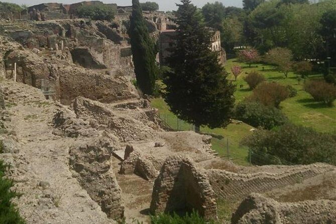 Naples Shore Excursion: Pompeii Half Day Trip from Naples - The Forum: Civic Life, Public Space, and Why It Matters