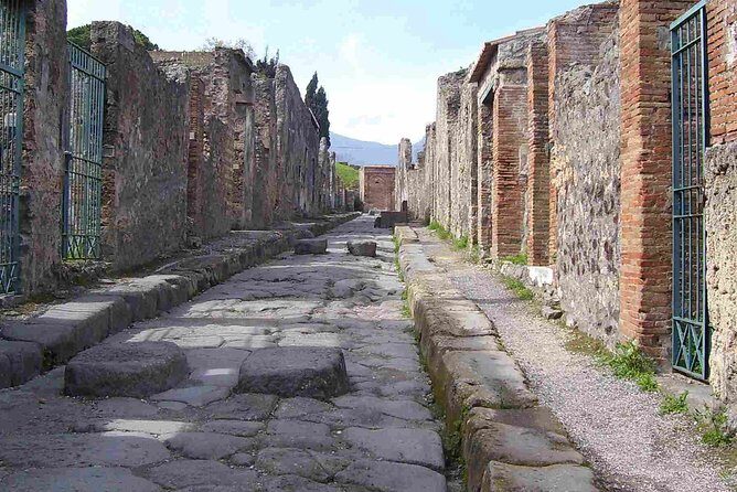 Naples Shore Excursion: Pompeii Half Day Trip from Naples - Price and Value: What $84.43 Buys You