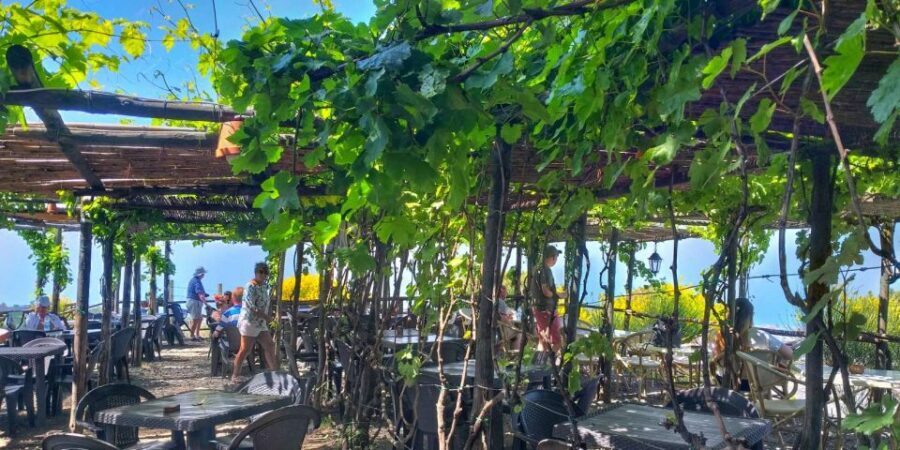 Naples: Vesuvius Half-Day Trip with Lunch and Wine Tasting - Tickets, crater walk, and the guide-led visit at Vesuvius