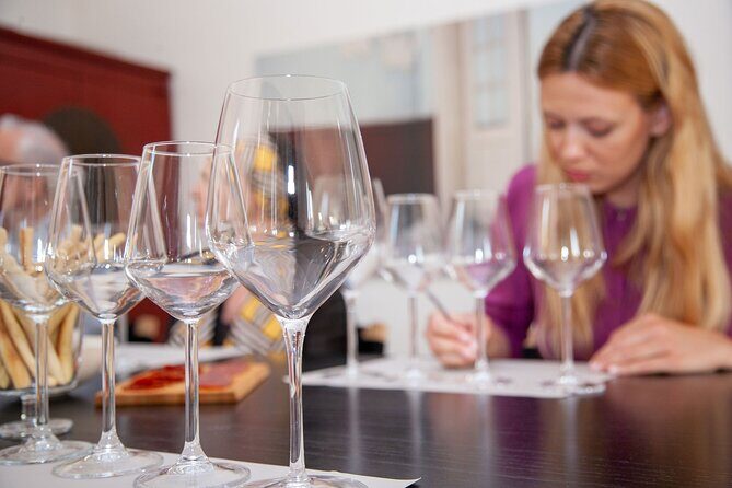 Noble Greeks Acropolis Wine Tasting with Private Sommelier - Key highlights worth planning for
