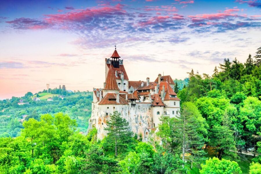 One day trip Bear Sanctuary, Dracula Castle - Key Points I’d Prioritize