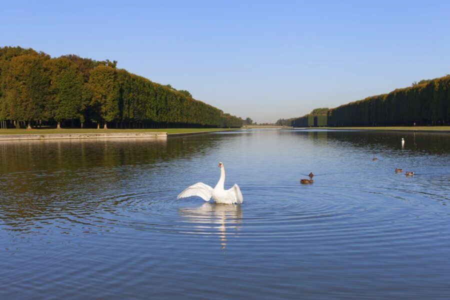 Palace of Versailles Guided Afternoon Tour from Paris - Pace, crowds, and photo time: the tradeoffs you should expect