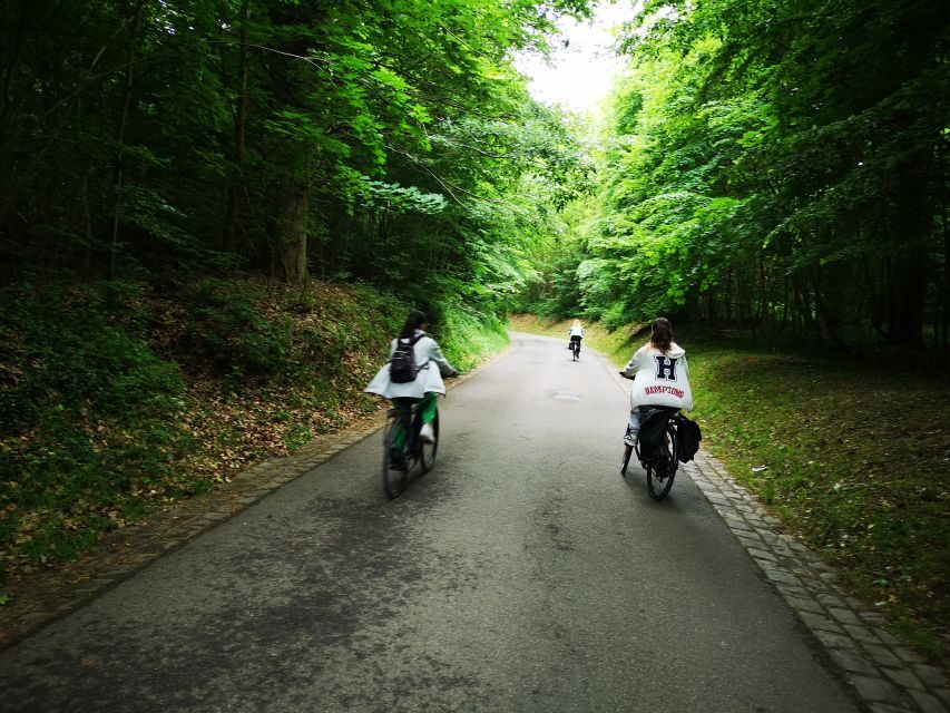 Paris: Versailles Palace and Queen Hamlet E-Bike Tour - Fausses-Reposes forest riding: shade, single-track vibes, and a workout you can manage