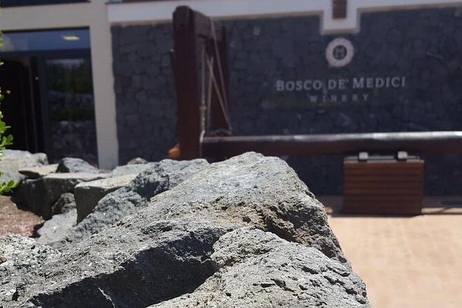 Pompei Archeological site and Wine tasting Experience - Pickup, Van Comfort, and Getting There Without Stress