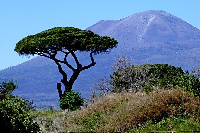 POMPEI Half Day TOUR - Departure from NAPLES Centre (TICKET INCLUDED) - What It Feels Like on the Ground: Guides, Pace, and Helpful Extras