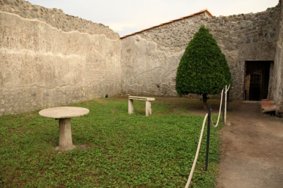 Pompeii 2-Hour Private Tour - Who this Pompeii 2-hour private tour suits best
