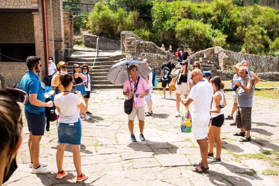 Pompeii: 2H group guided tour with a certified guide - Express tickets and skipping lines: the real time-saver