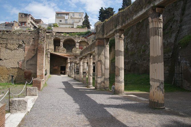 Pompeii and Herculaneum Day Tour - with Lunch from Naples - Who this day tour suits best (and who should skip it)