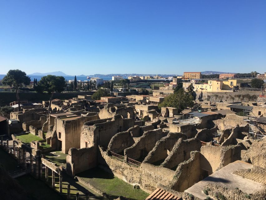 Pompeii and Herculaneum: Guided Tour with an Archaeologist - Train to Herculaneum: short transfer, big change in feel