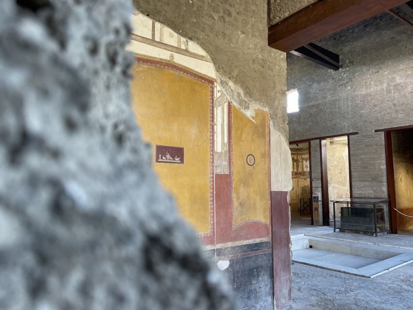 Pompeii and House of Vettii Guided Tour - Who should book this Pompeii and House of Vettii tour
