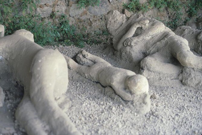 Pompeii and Mount Vesuvius Day Trip from Rome with Pizza Lunch - Pacing, Logistics, and the Role of Coaches and Guides