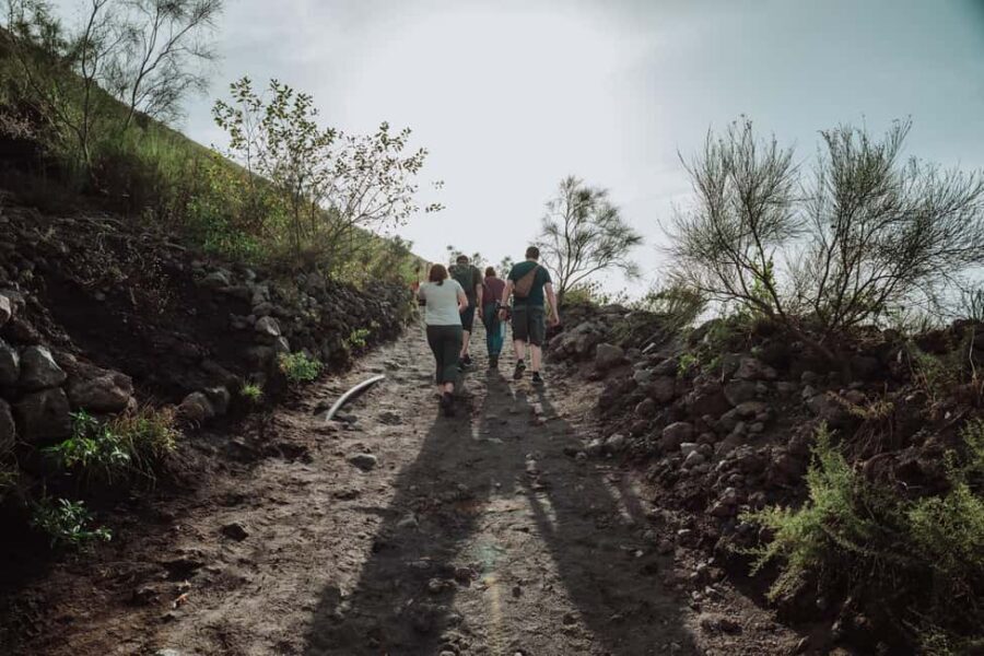 Pompeii and Mount Vesuvius excursion from Naples - Getting to Mount Vesuvius: short ride, big mental shift