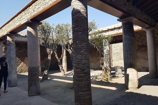 Pompeii and Naples From Rome: Private Full-Day Tour with Lunch - Pizza and Vesuvius Flavors at Piazza del Plebiscito