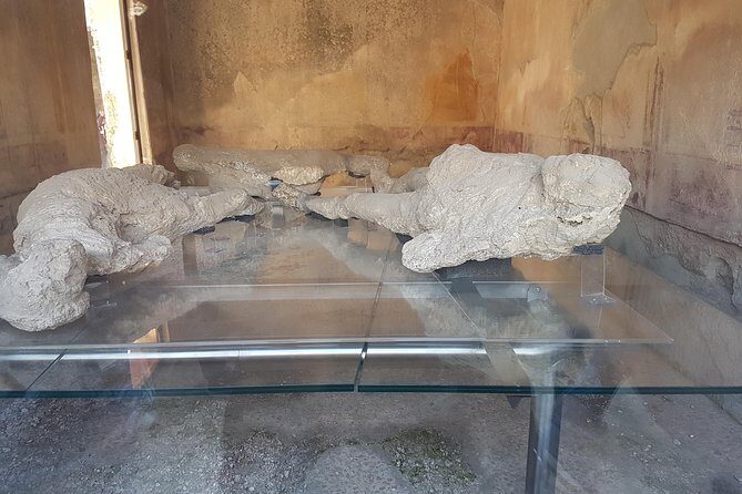 Pompeii and Naples from Rome: Small Group Day Tour with Lunch - Organic farm lunch near Vesuvius: wine tasting that doesn’t feel like a trap