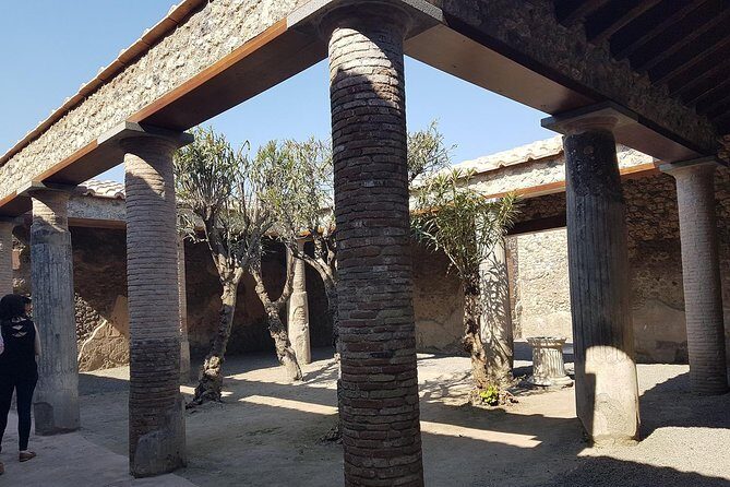 Pompeii and Naples from Rome: Small Group Day Tour with Lunch - Centro Storico Naples walk: coffee, fried pizza, and classic landmarks